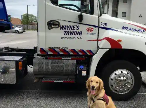 Wayne's Towing truck used for Econo Transmission customers